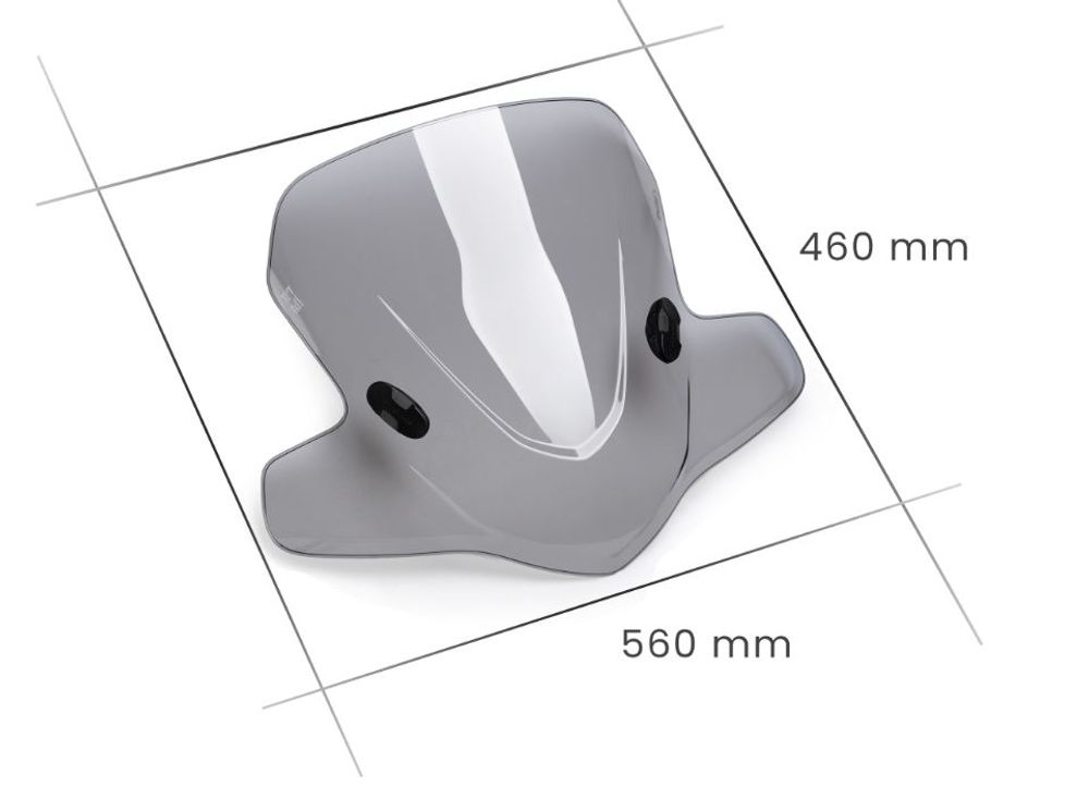 PUIG 0200H Rollerscheibe City Touring passend fuer DERBI PREDATOR Getönt