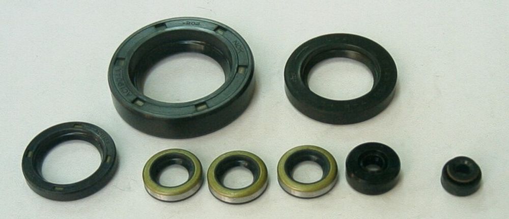 SP 1003723 TOURMAX Satz Motor-Simmerringe passend fuer KAWASAKI Z 900