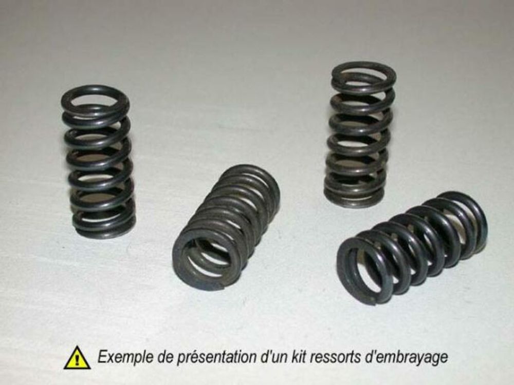 SP 1004249 Kit Kupplungsfedern passend fuer SUZUKI RGV 250