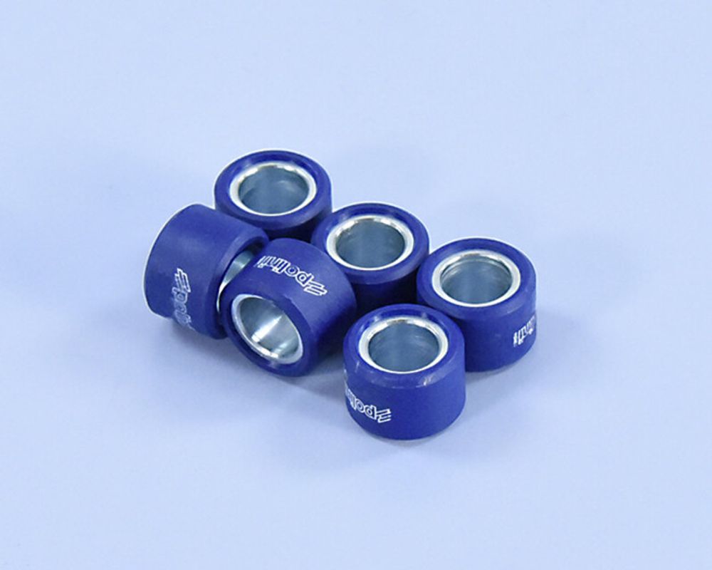 SP 1011729 POLINI Satz Variomatrollen 19x13mm 10,5gr - 6 teilig passend fuer