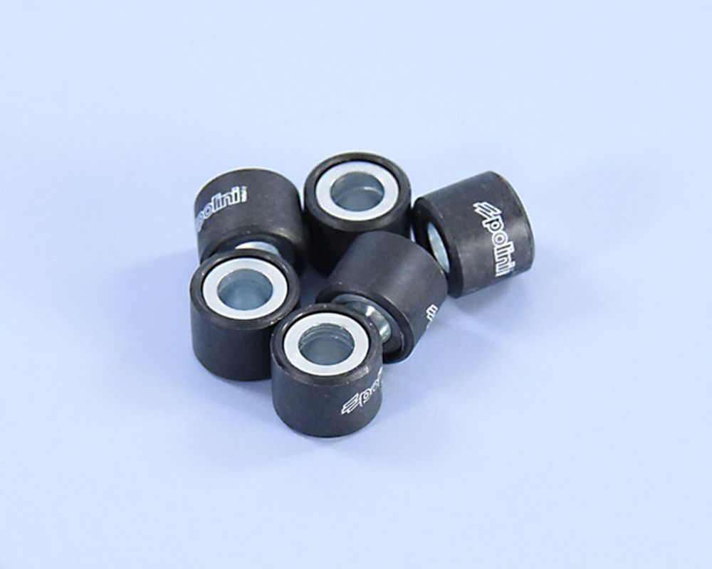 SP 1012338 POLINI Satz Variomatrollen 16x13mm 6,3gr passend fuer HYOSUNG SD 50