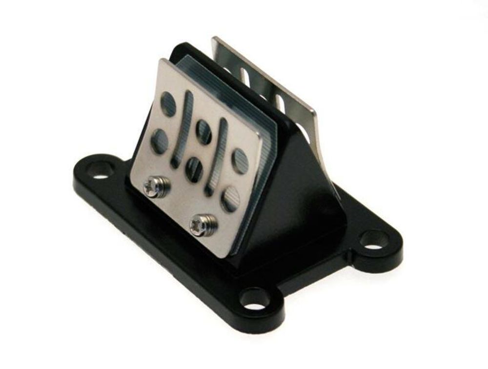 SP 1020261 B1 Karbonfaser-Membranblock passend fuer GILERA RCR 50