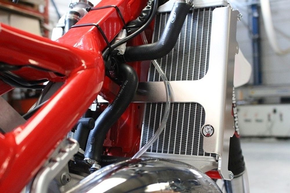 SP 1053146 AXP Kühlerschutz aus Aluminium - Beta RR125 passend fuer BETA RR 125 2T ENDURO Rot