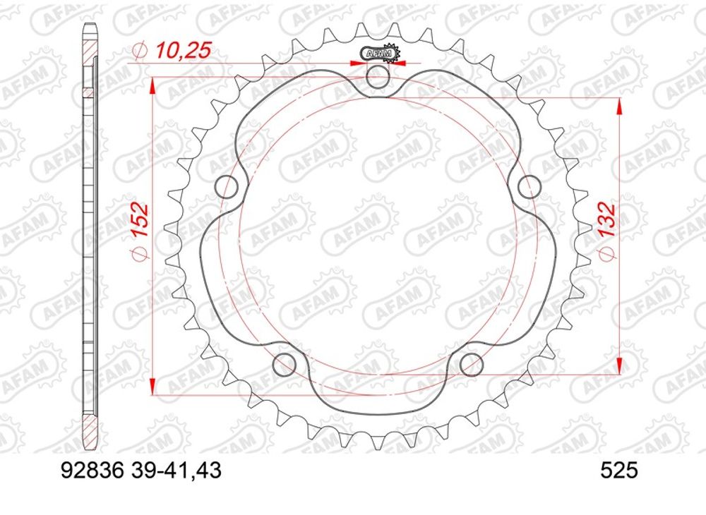 SP 1074797002 AFAM Standard Stahlritzel hinten 92836 - 525 passend fuer MV AGUSTA BRUTALE CORSA