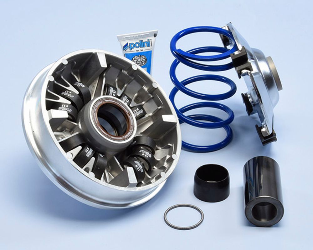 SP 1107213 POLINI Hi-Speed Variator 12 Rollen - Honda SH 350 passend fuer HONDA SH 350