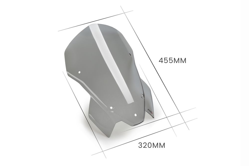 PUIG 20889H New Generation Touring passend fuer BMW S1000R Getönt