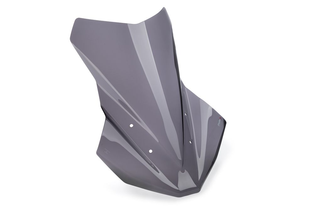 PUIG 21840F Tourenscheibe Plus passend fuer BMW R1300GS Stark getönt