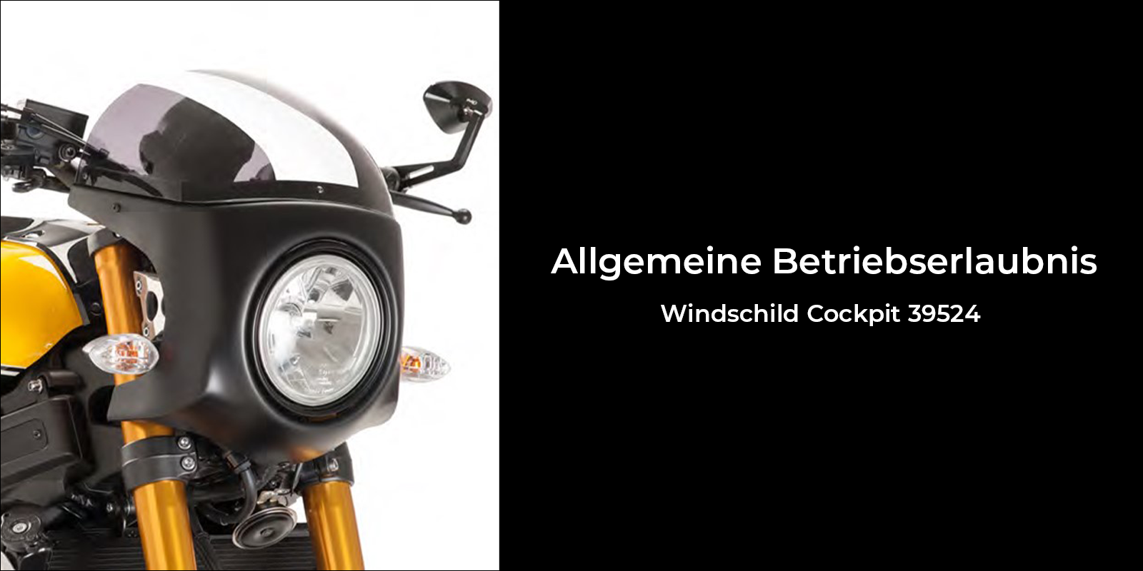 Windschild Cockpit 39524 (ABE)