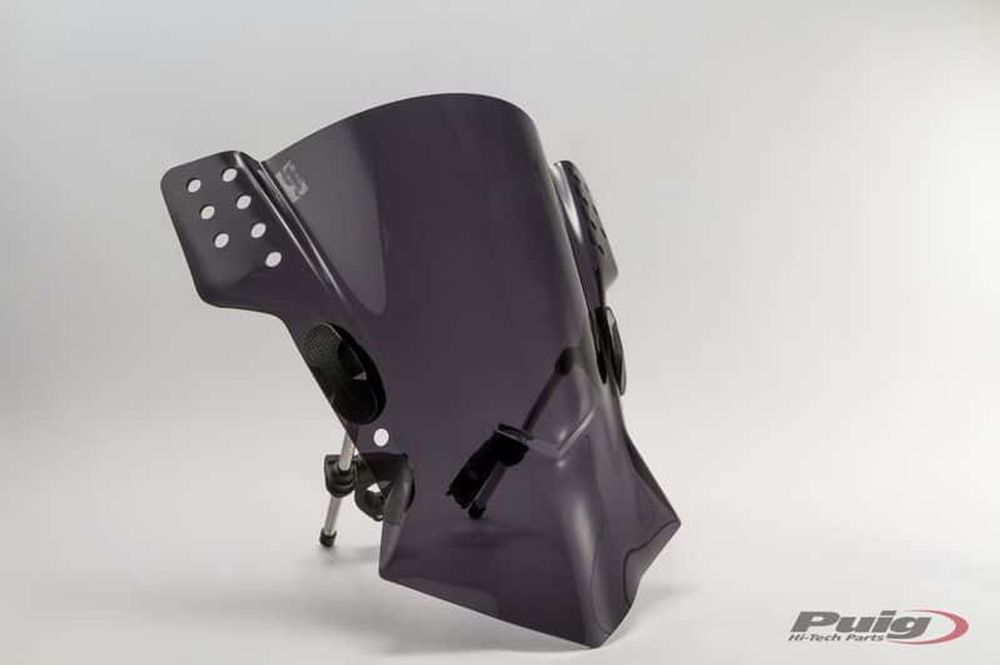 PUIG 6409F Rafale passend fuer KAWASAKI ER-6N Stark getönt