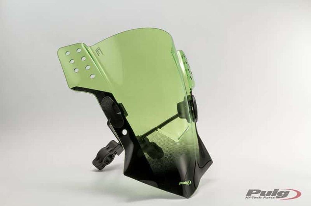 PUIG 6409V Rafale passend fuer KAWASAKI ER-6N Grün