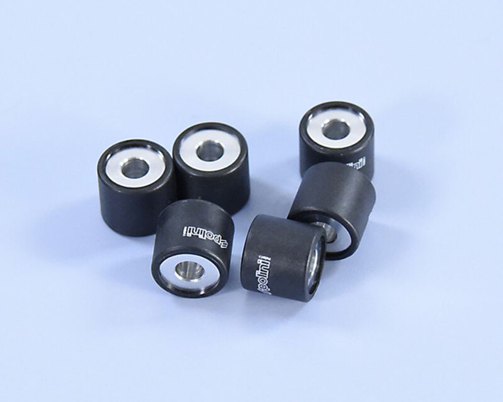 SP 1011710 POLINI Satz Variomatrollen 19x17mm 8,4gr - 6 teilig  passend fuer