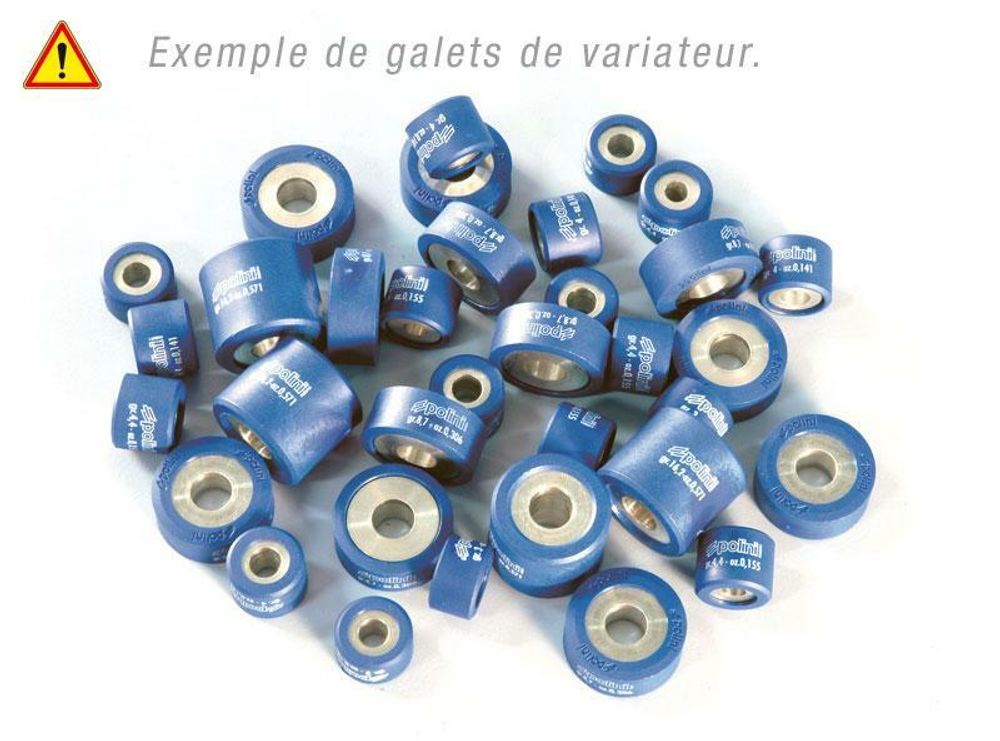 SP 1011741 POLINI Satz Variomatrollen 26,1x19mm 20,2gr - 8-teilig  passend fuer SUZUKI AN 400 BURGMAN