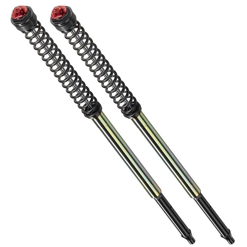 SP 1022059 BITUBO Sport Einstellbarer Gabel-Kit - BW037ABB09WO  passend fuer BMW F 800 GS