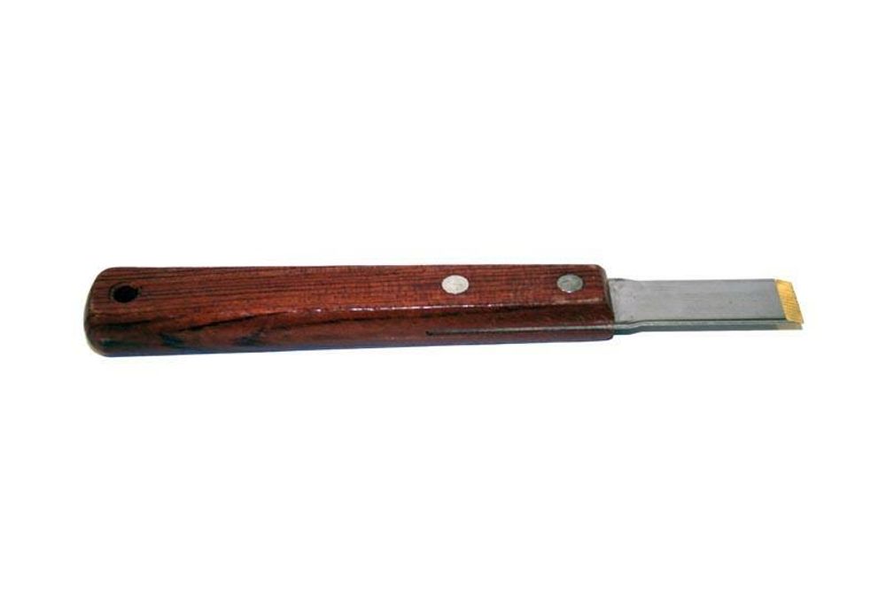 SP 1051597 BUZZETTI Dichtungsschaber  passend fuer