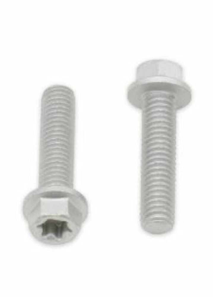 SP 1061439 BOLT Sechskantkopf-/Torx-Schrauben M6x1x25mm 10Stück  passend fuer BMW S 1000 RR Grau