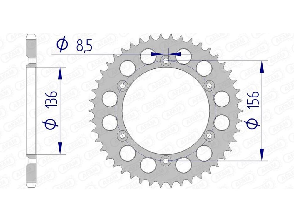 SP 1074539007 AFAM Aluminiumritzel hinten 15206 - 520    passend fuer GAS GAS EC 250
