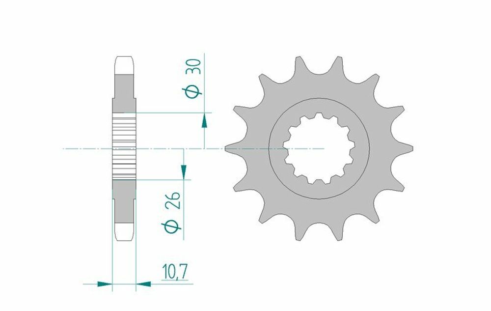 SP 1075655004 AFAM Standard Stahlritzel vorne 21801 - 530    passend fuer YAMAHA XJR 1200