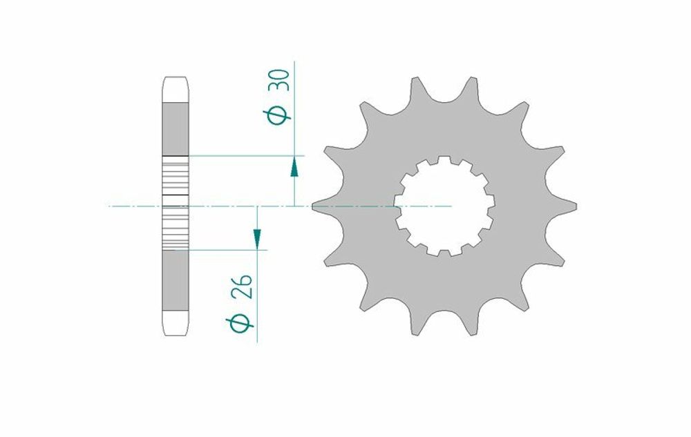 SP 1077149003 AFAM Standard Stahlritzel vorne 88800 - 530    passend fuer TRIUMPH THUNDERBIRD 900 SPORT
