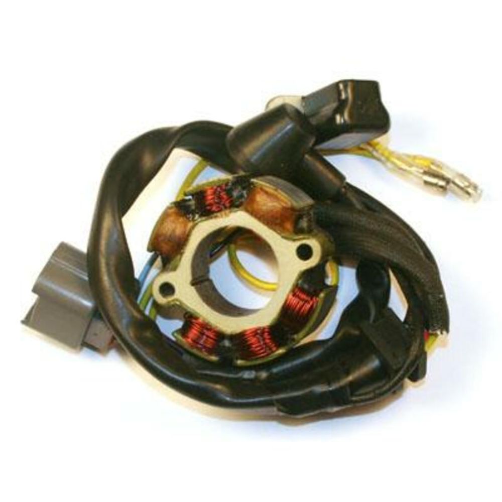 SP 1078124 ELECTROSPORT Stator mit Magnetspule - Suzuki RM-Z250  passend fuer SUZUKI RM-Z 250