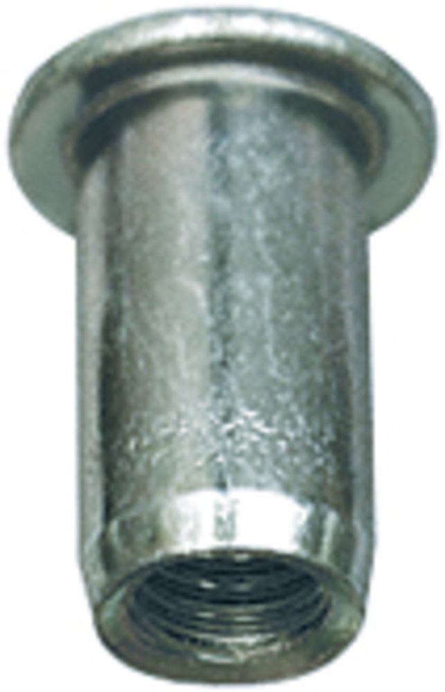 SP 1102253 BIHR Blindnietmuttern M5 Stahl 20 Stk  passend fuer