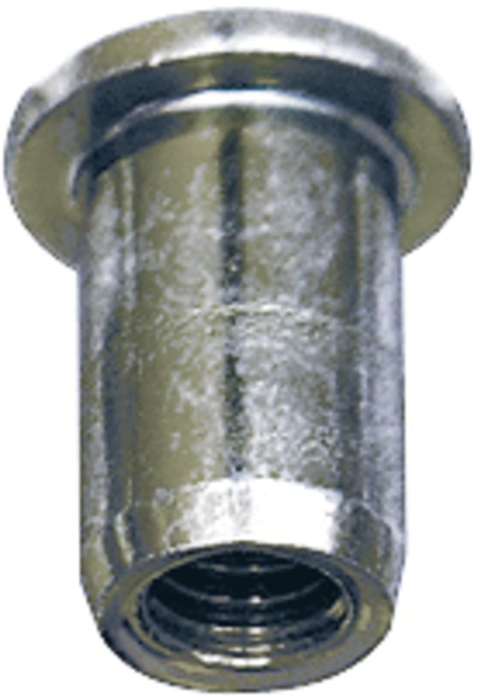 SP 1102254 BIHR Blindnietmuttern M6 Stahl 20 Stk  passend fuer