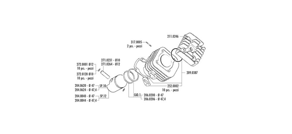 SP 1125910 POLINI Zylindersatz CY50 Minarelli Malagutti F10 Pin 12mm  passend fuer BETA ARK 50