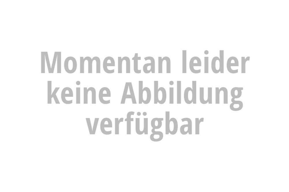 SP 1140281 IXIL SX1 Carbonabdeckung eckig Dämpferbox    passend fuer   Carbon