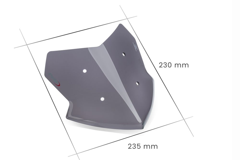 PUIG 21653F New Generation Sport  passend fuer CFMOTO 650 NK Stark getönt