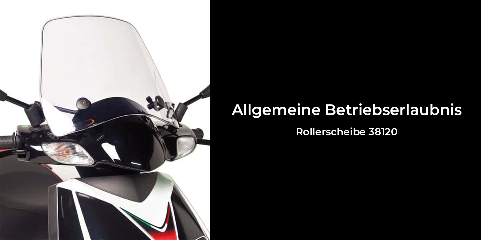 Rollerscheibe 38120 (ABE)