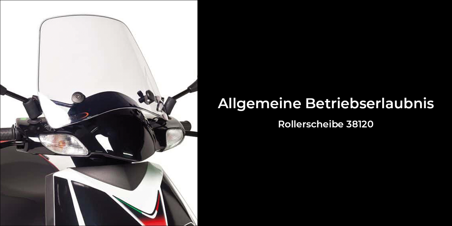 Rollerscheibe 38120 (ABE)