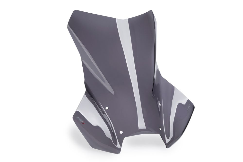 PUIG 22268F Tourenscheibe Plus  passend fuer BMW R1300GS Stark getönt