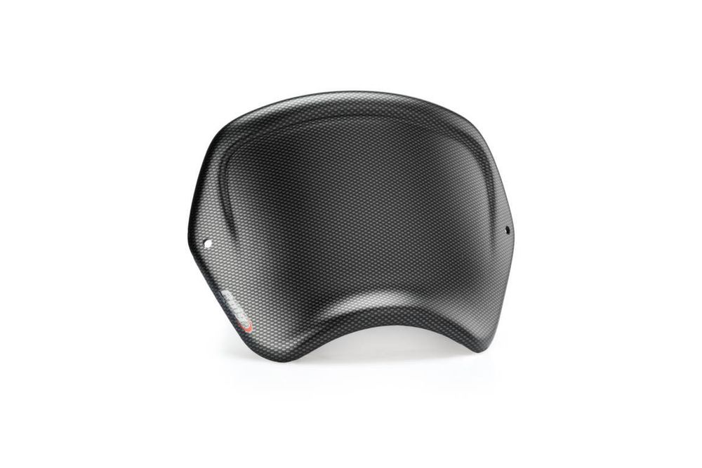 PUIG 9167C Frontplatte ABS  passend fuer BMW R NINET Carbon look