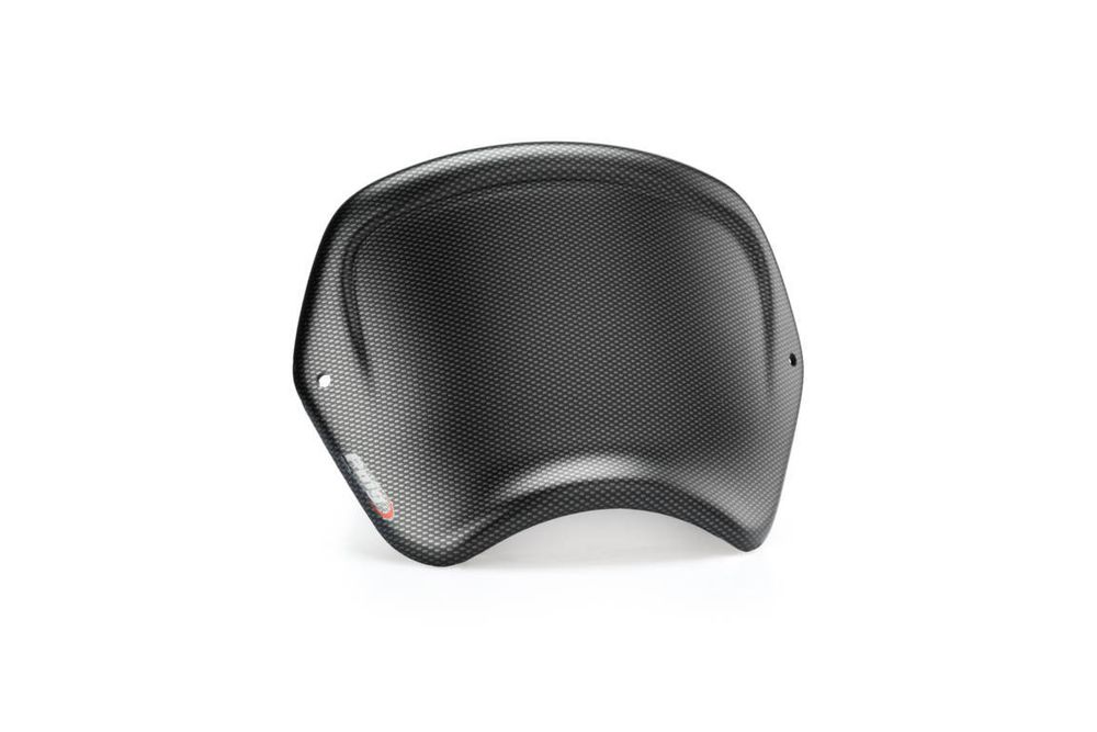 Puig 1351C Frontplatte  Kompatibel/Ersatz für HARLEY DAVIDSON SPORTSTER 883 IRON XL883N Carbon look