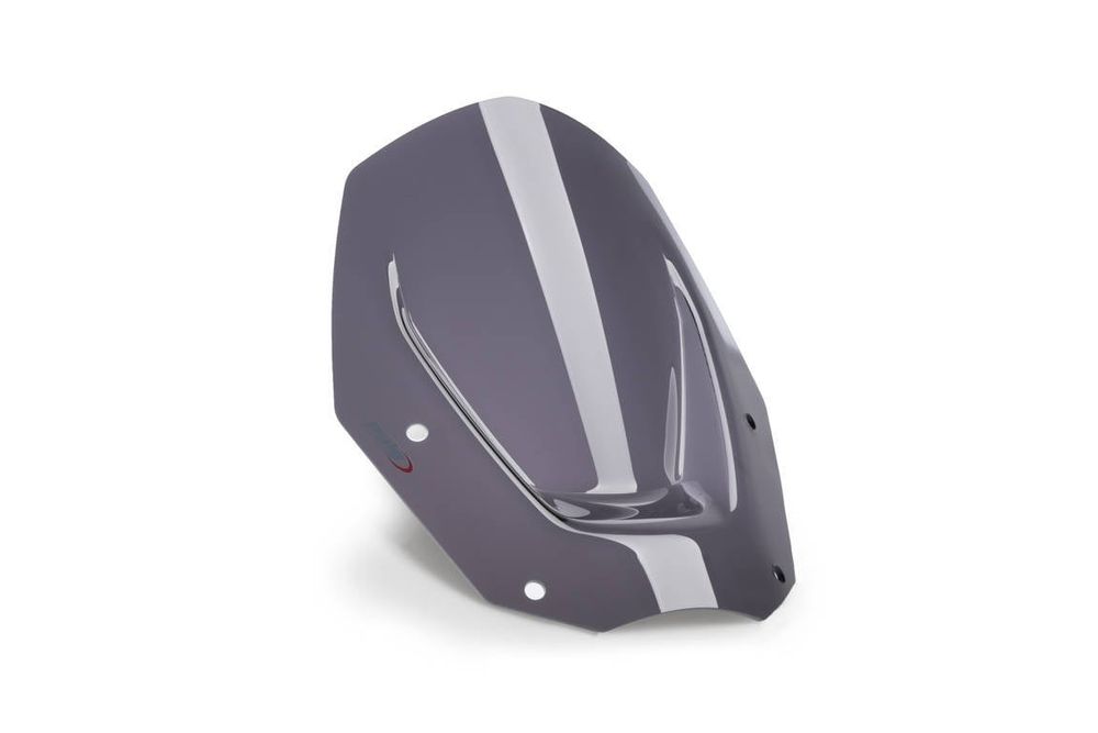 PUIG 21794F Sportscheibe  passend fuer BMW R1300GS Stark getönt