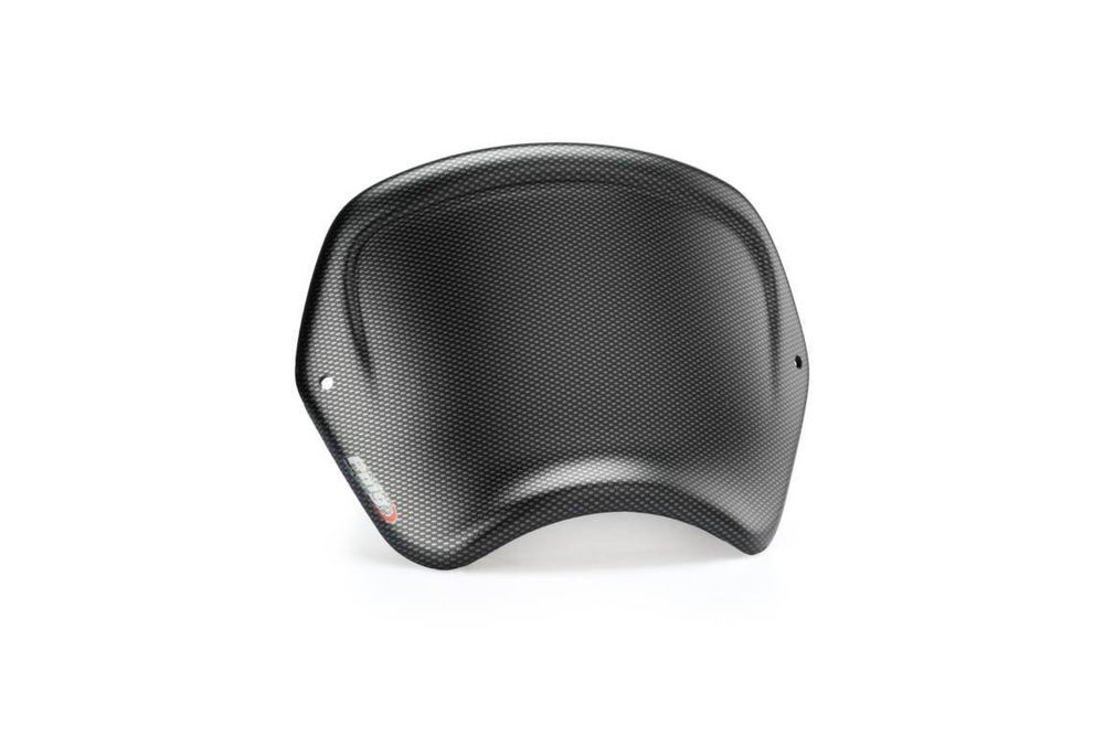 PUIG 20399C Frontplatte ABS  passend fuer HARLEY DAVIDSON SPORTSTER FORTY-EIGHT XL1200X Carbon look