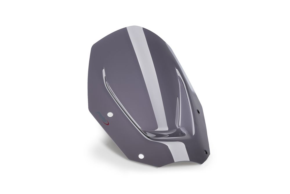 PUIG 21794F Sportscheibe  passend fuer BMW R1300GS Stark getönt